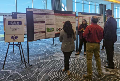 Poster presentation at AASV Annual Meeting. One person facing camera; three facing away