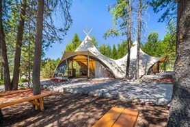 Glamping tent in forest