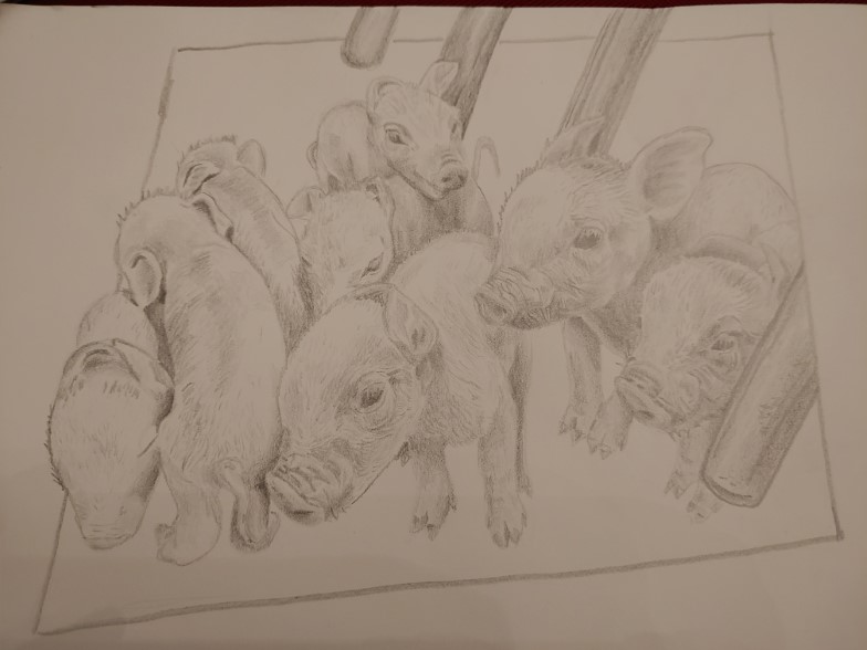 A Farmers First Litter pencil painting