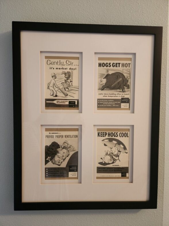 Vintage Livestock Conservation- Framed collection of 4